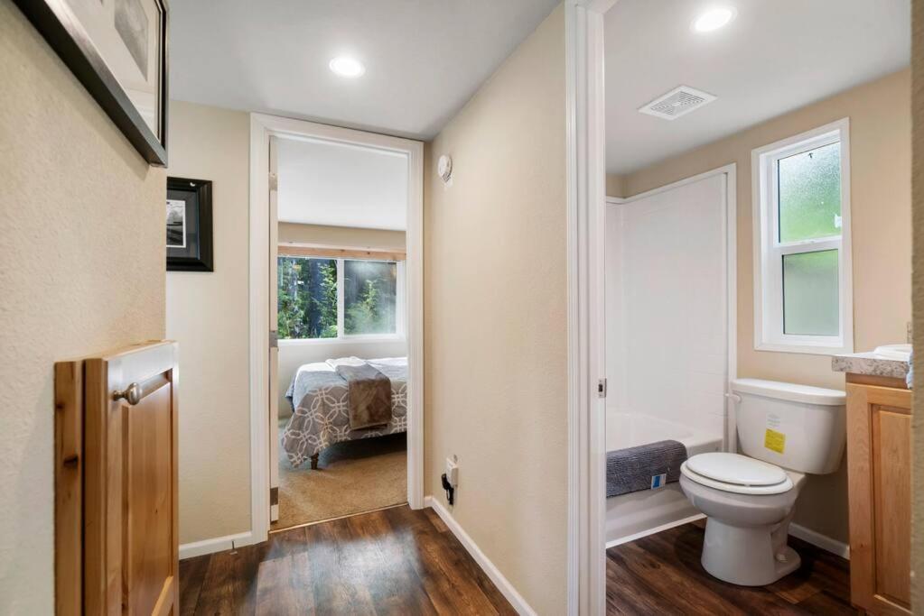 New Tiny Home Steps Away From Mt. Rainier Ashford Zewnętrze zdjęcie