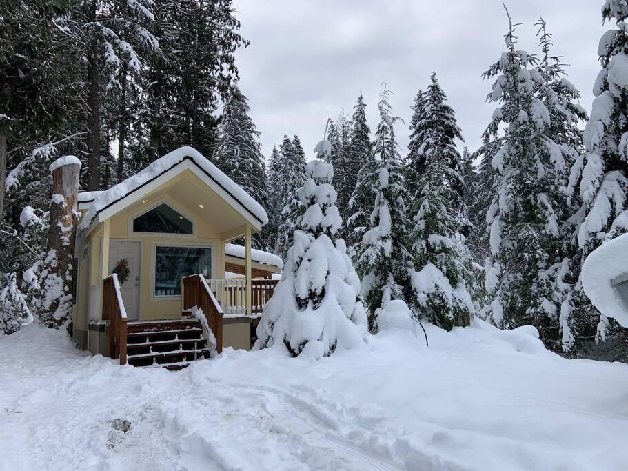 New Tiny Home Steps Away From Mt. Rainier Ashford Zewnętrze zdjęcie